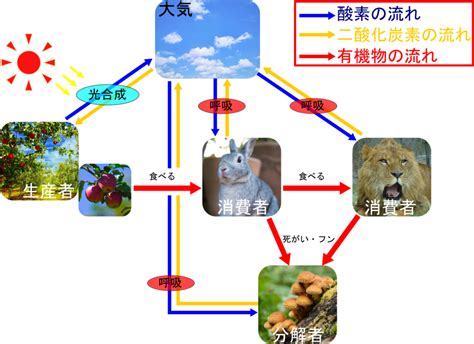 物質界|物質界を把握する2つの軸